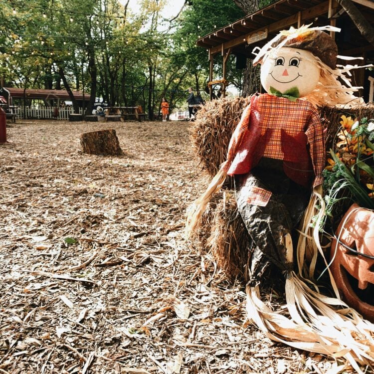 fall festival