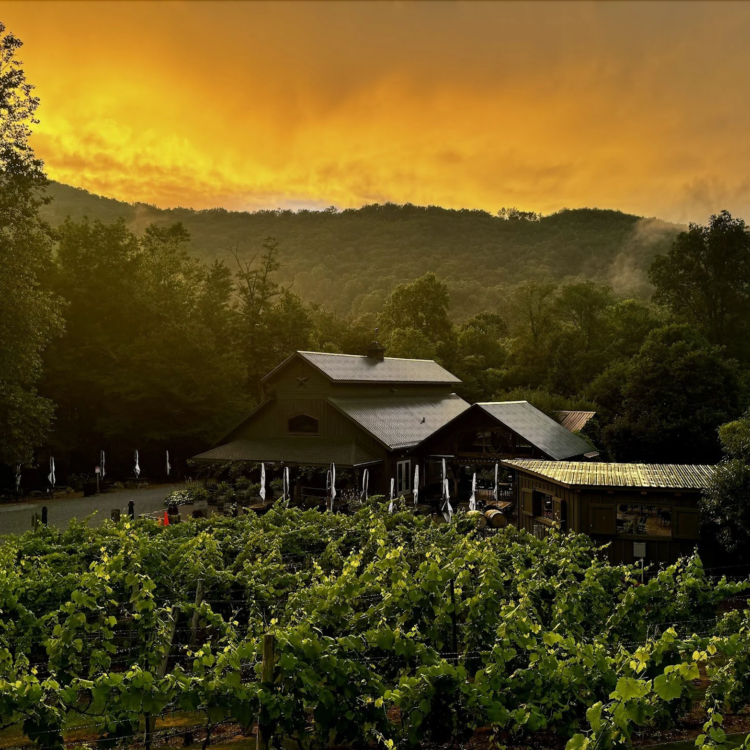 Grandfather Vineyard Boone NC